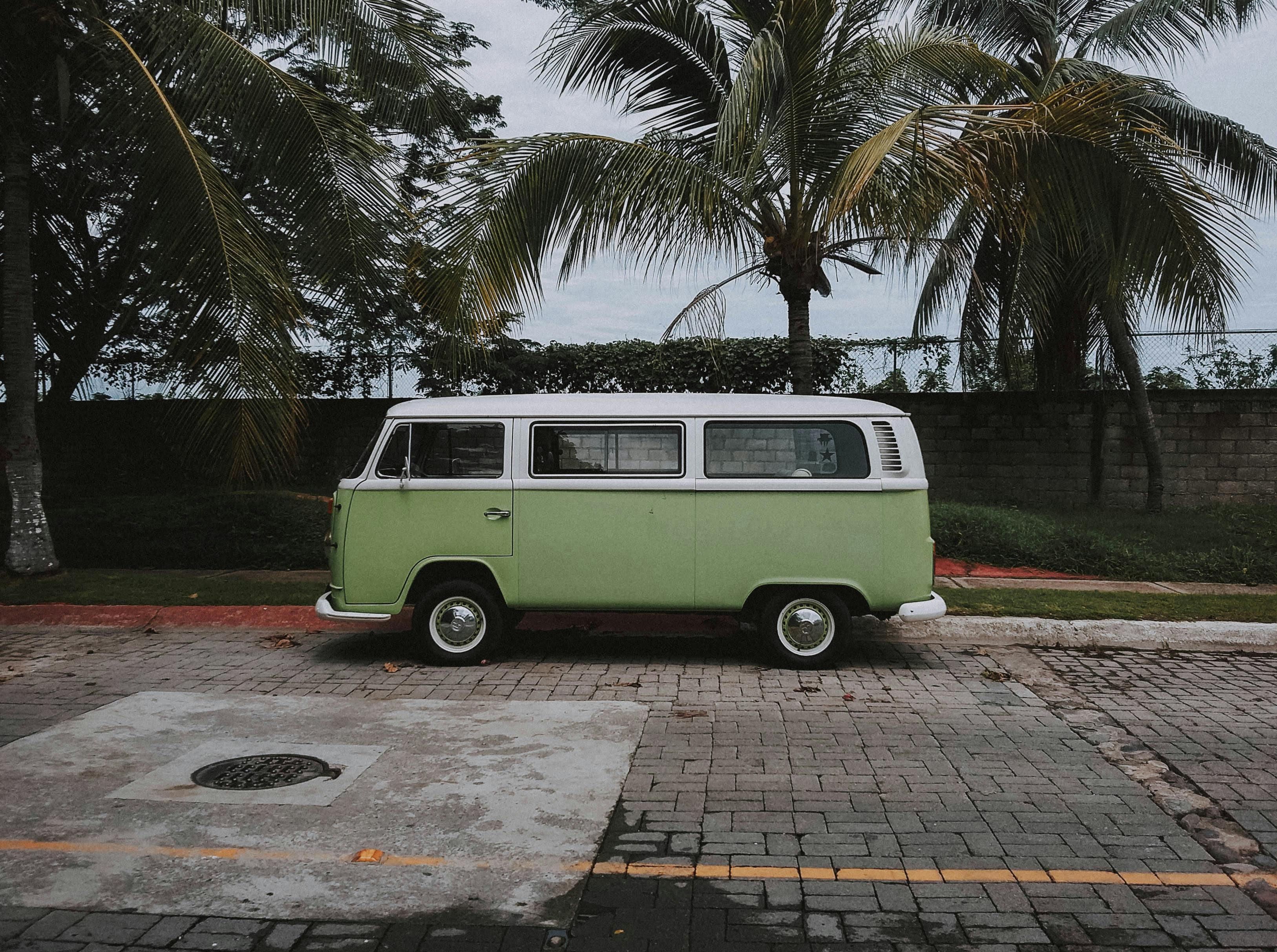 Green Volkswagen Transporter Van Parked Under Coconut Trees